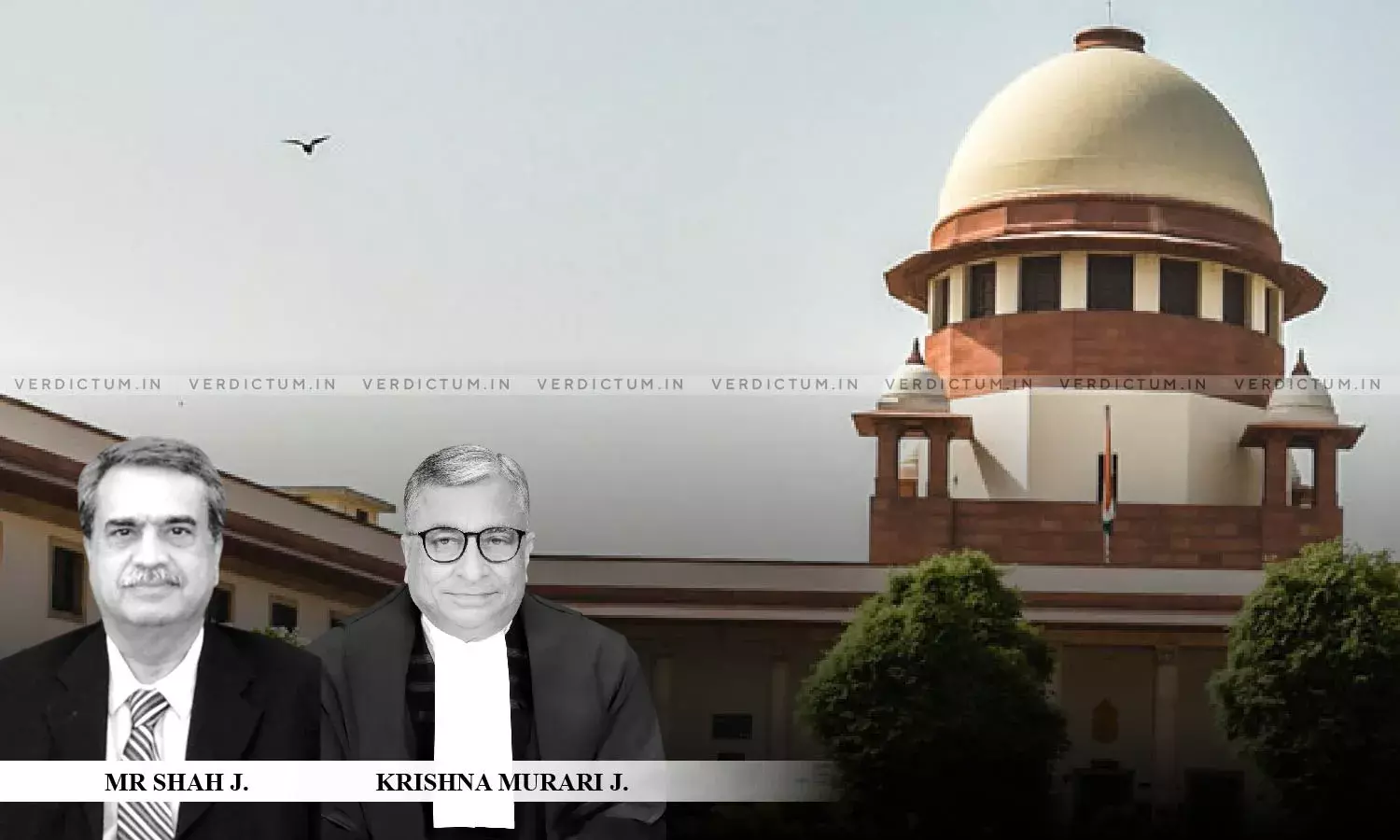 Supreme court judgement discount on adverse possession