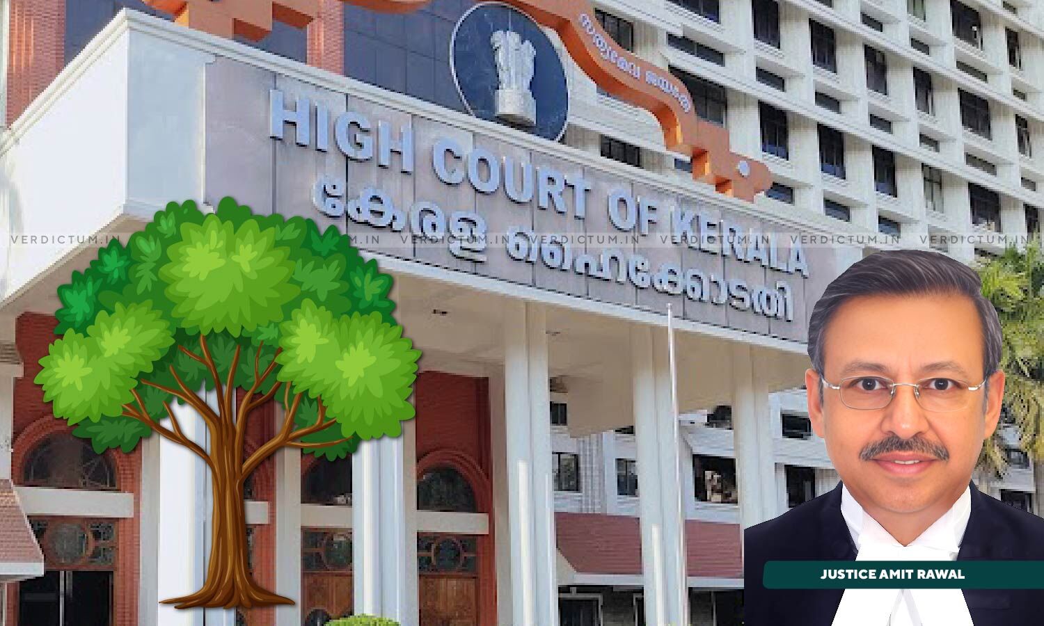 Kerala High Court Directs Party To Plant 10 Trees In Coming Monsoon