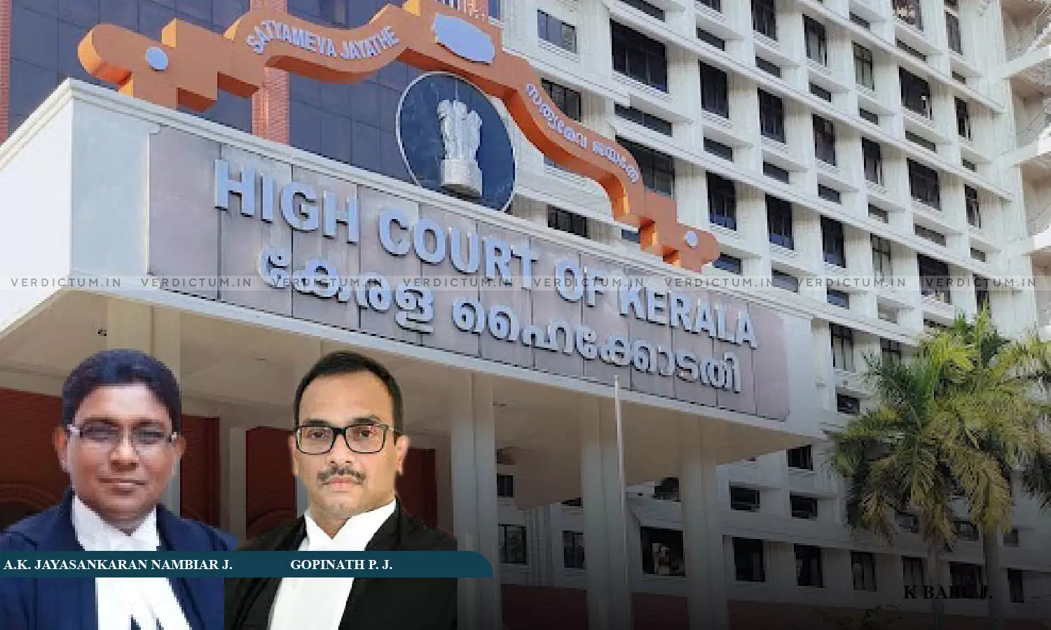 Mahout Killed By Elephant: Kerala HC Calls For Report On Elephant Safaris Conducted Without Permission By Private Individuals